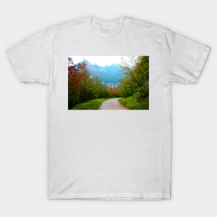 Scene at Eremo di Soffiano near Sarnano in the Sibillini Mountains with autumn trees, gravel path T-Shirt